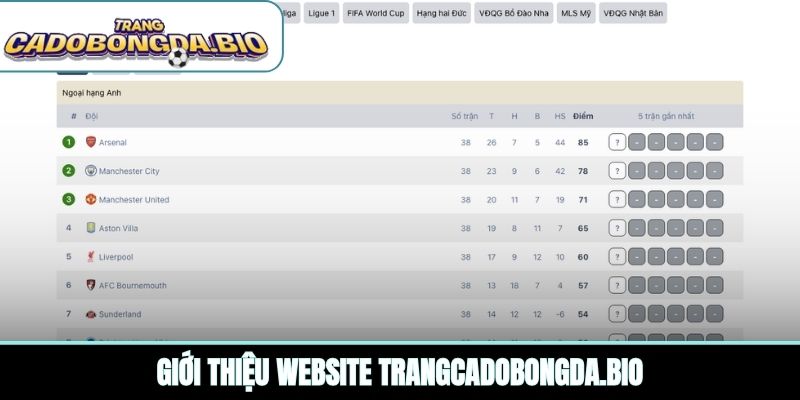 Giới thiệu website wqe.io