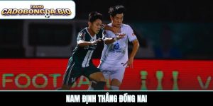Nam Định thắng Đồng Nai